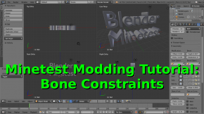 Bone Constraints